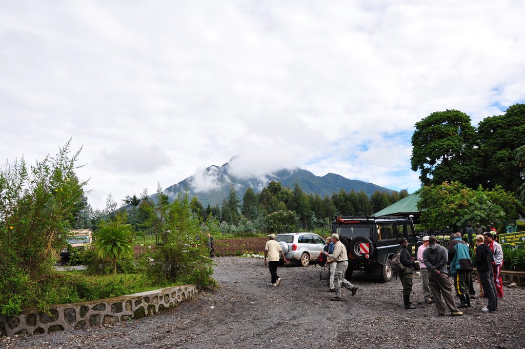 Gorilla Trekking on a Budget