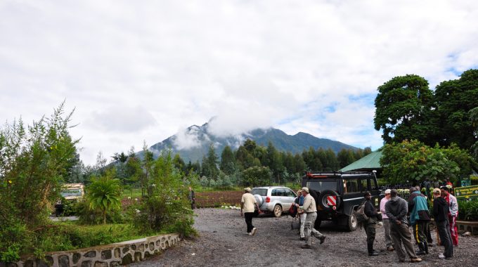 Gorilla Trekking On A Budget