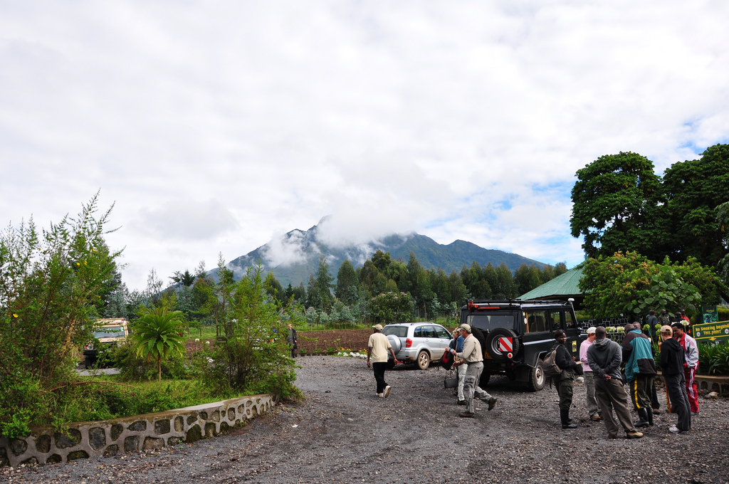 Gorilla Trekking on a Budget