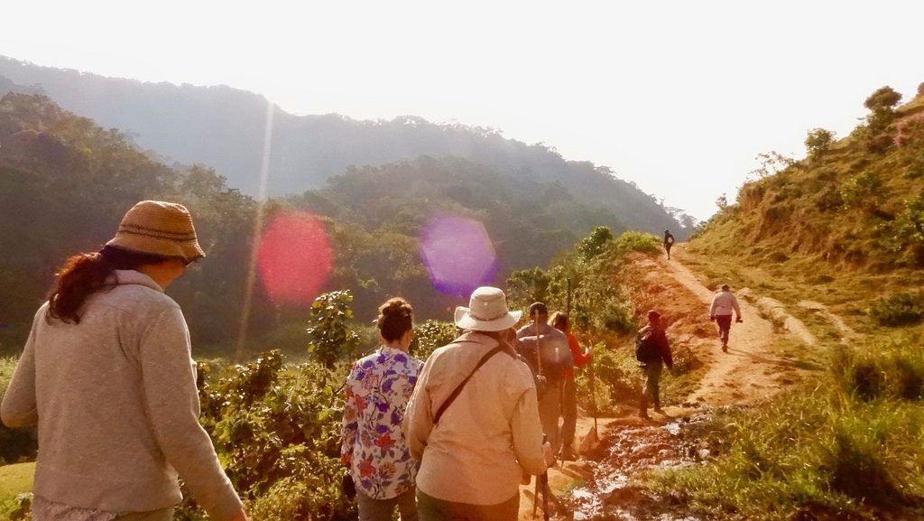 Gorilla trekking Uganda Price