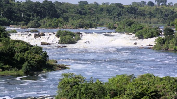 Karuma Falls On River Nile