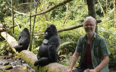 Gorilla Trekking In Uganda Via Kigali Rwanda