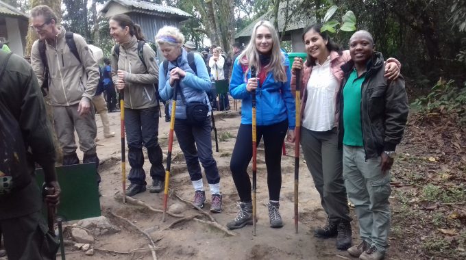 Improving The Uganda Gorilla Trekking Experience