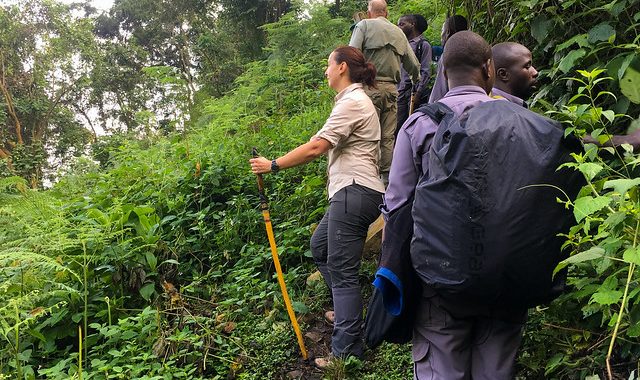 Gorilla Trekking Packing List