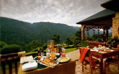 Ichumbi Gorilla Lodge