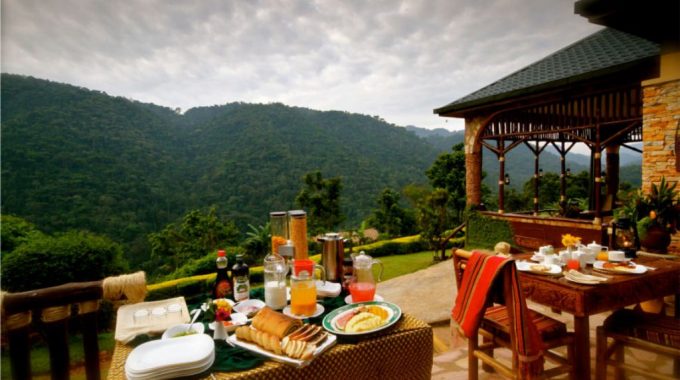 Ichumbi Gorilla Lodge