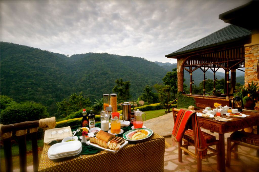 Bwindi Impenetrable National Park Accommodation And Lodges