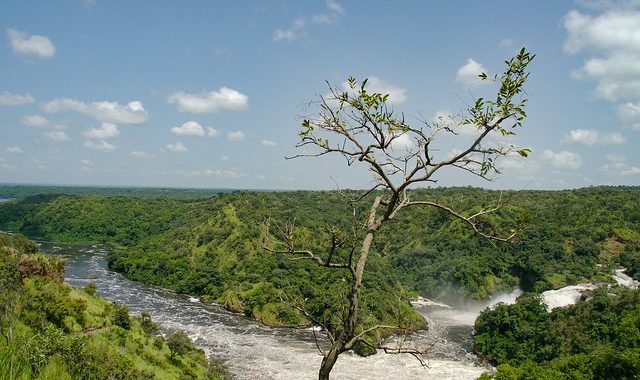 Uganda Safari Near Kampala