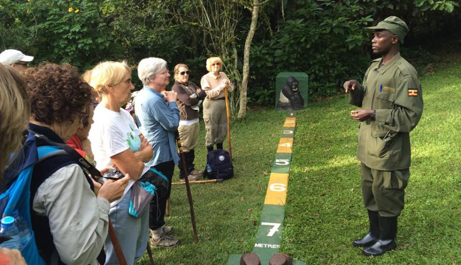 Uganda gorilla trekking guide
