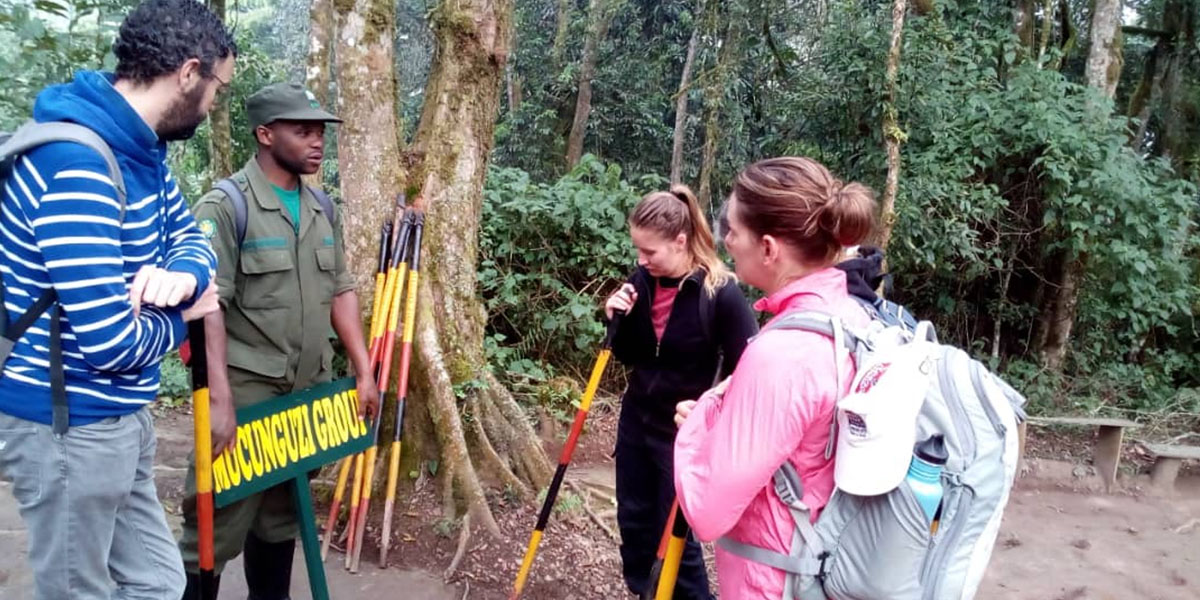 Uganda gorilla trekking in Uganda from Kigali