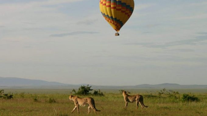 Uganda Balloon Safari