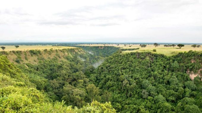 Chimpanzee Trekking In Kyambura Gorge