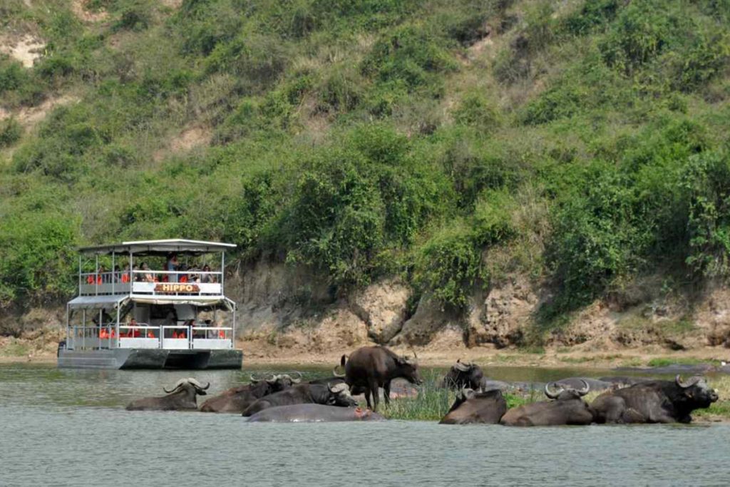Uganda game safari