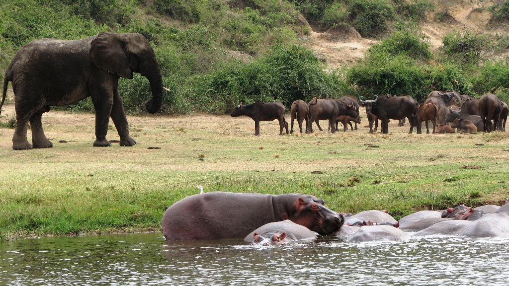 Top Attraction in Queen Elizabeth National Park