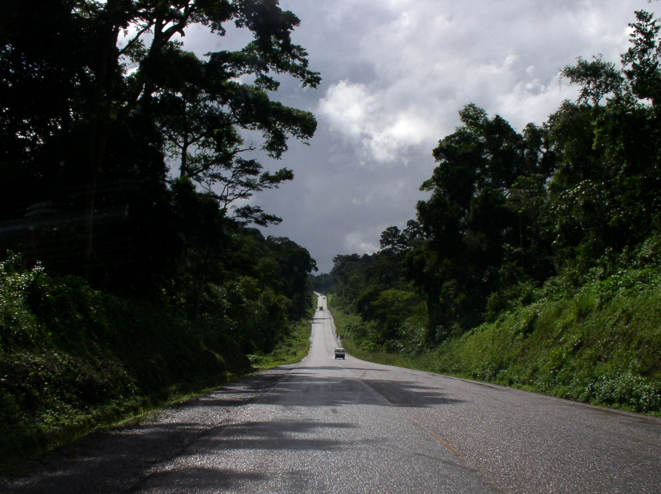 Mabira forest