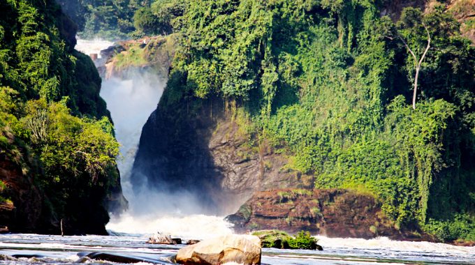 Murchison Fall National Park Safari