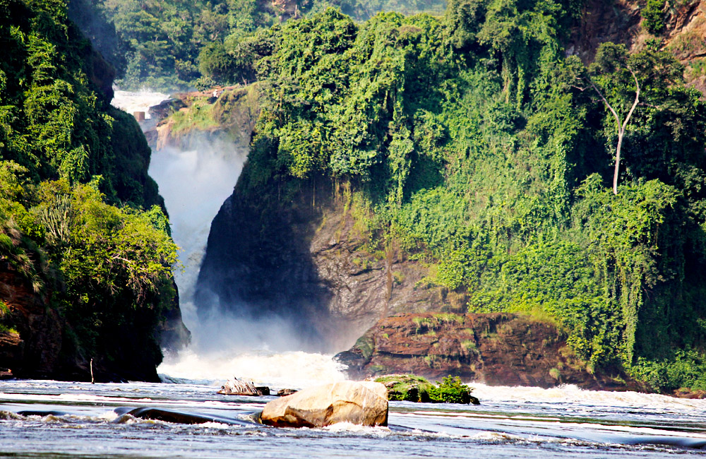 Murchison fall national park safari