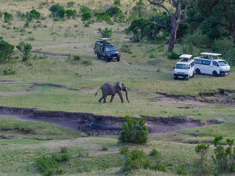 Game drive in Uganda