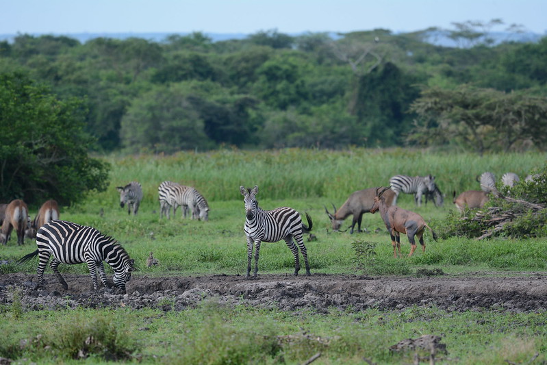 How to access lake Mburo national park.