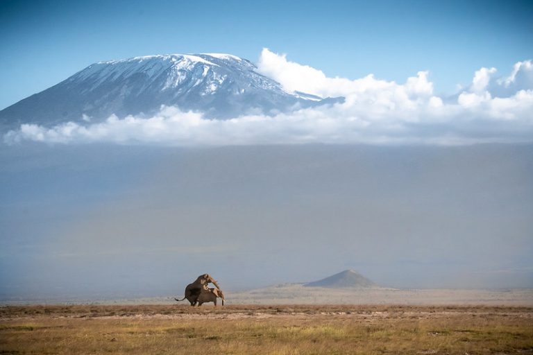 6 Days Kenya Classic Safari