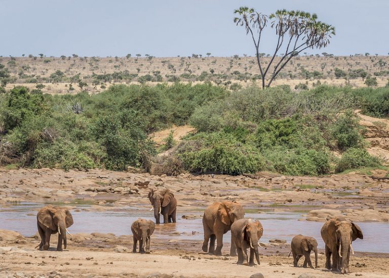 5 Days Amboseli and Tsavo Safari