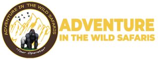 Gorilla Trekking Uganda