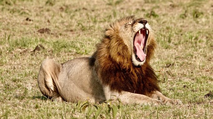 Where To Visit In Kenya?