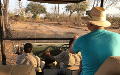 Activities On An African Safari
