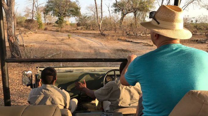 Activities On An African Safari