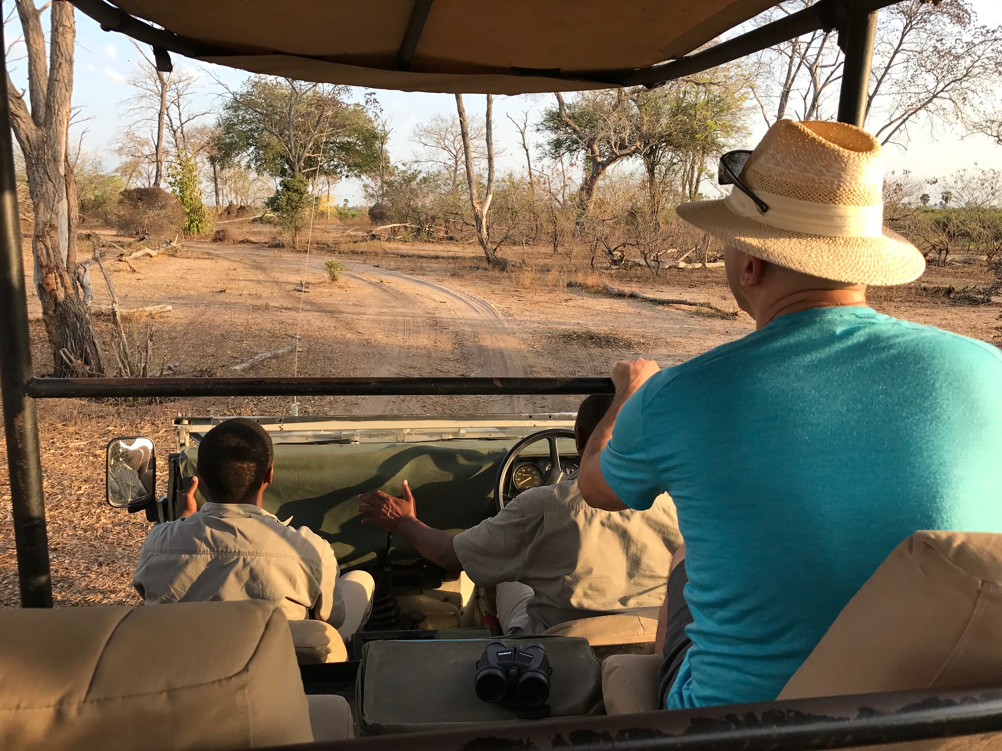 Activities On An African Safari
