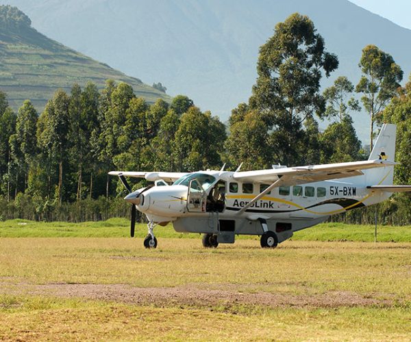 flying safari uganda