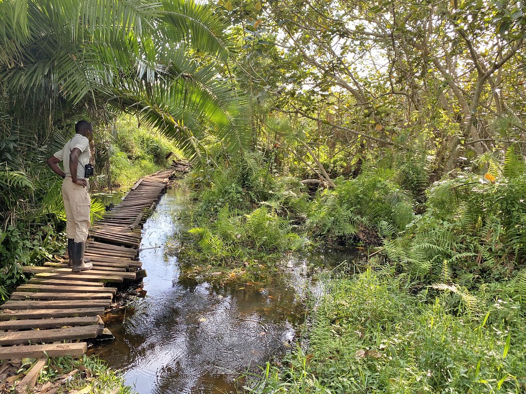 kibale forest national park summary