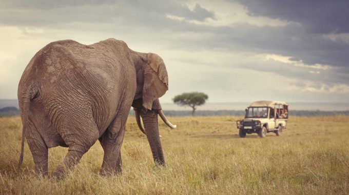 10 Of The Safest Places To Visit In Africa In 2025-2026