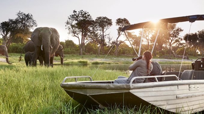 Best Time To Visit Botswana And Victoria Falls
