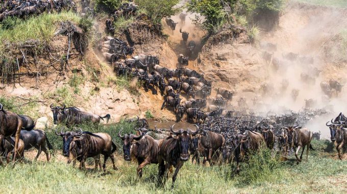 How Long Does The Great Migration Last?