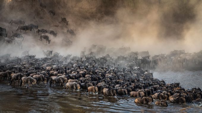 Is The Great Migration Worth Seeing?