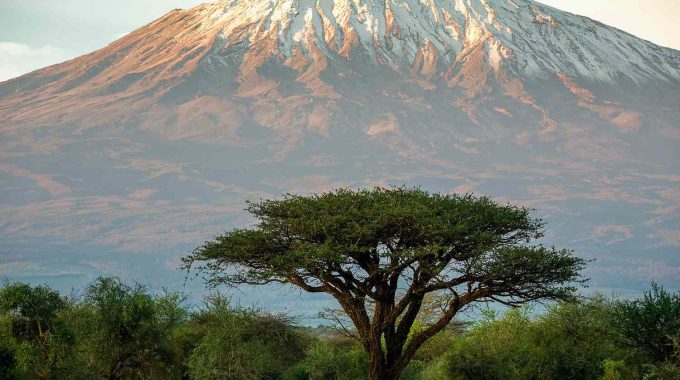 Tallest Mountain In Africa