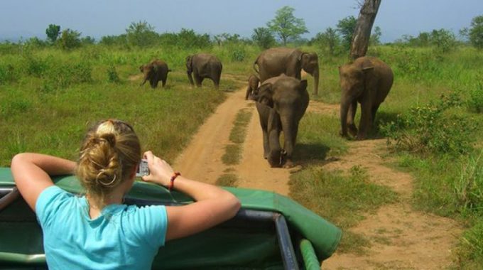 What Is The Best Time To Visit Murchison Falls National Park?