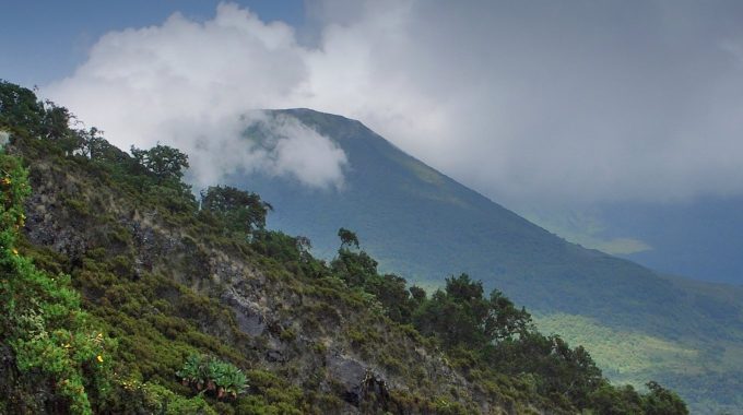 What Is The Meaning Of Mgahinga?