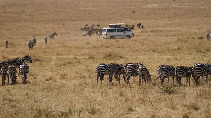 What Towns Are Near Masai Mara?
