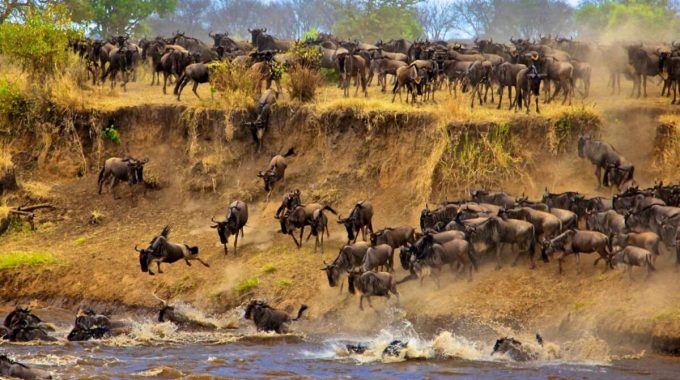 Where Is The Best Place To See The Great Migration In Africa?