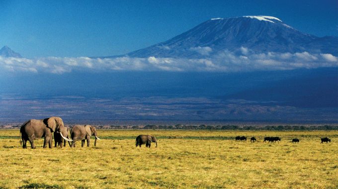 What Is The Highest Mountain In Africa?