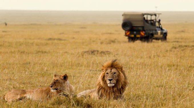Which Country Has The Best Wildlife In East Africa?