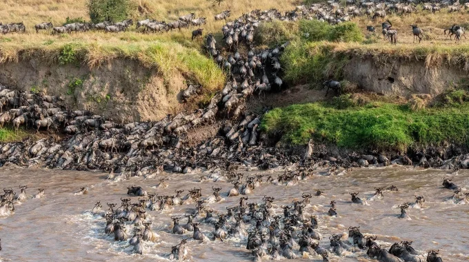 Where Is The Great Wildebeest Migration?