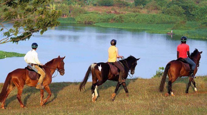 How Much Does It Cost To Ride A Horse In Jinja?