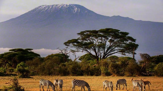 How Much Is A Game Drive In Amboseli National Park?