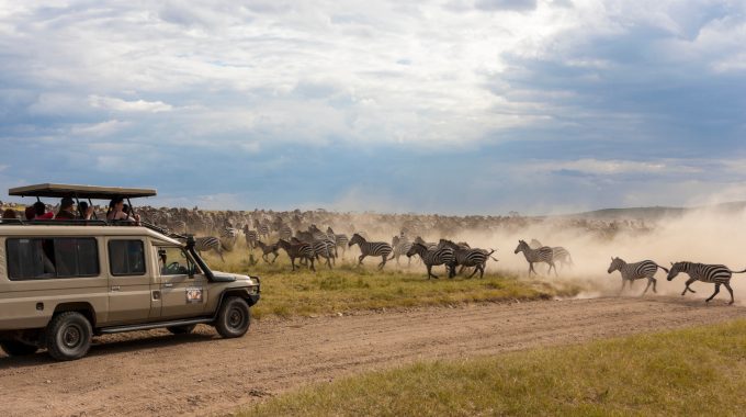 4 New Tanzania Safari Packages To The Serengeti And Beyond