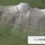 Machame Route