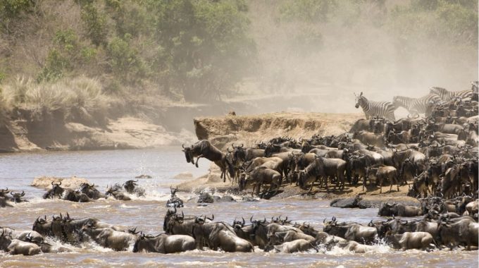 Tanzania Safari Great Migration