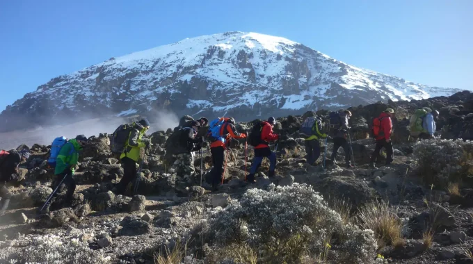 Which Kilimanjaro Route Offers The Best Summit Success Rate?